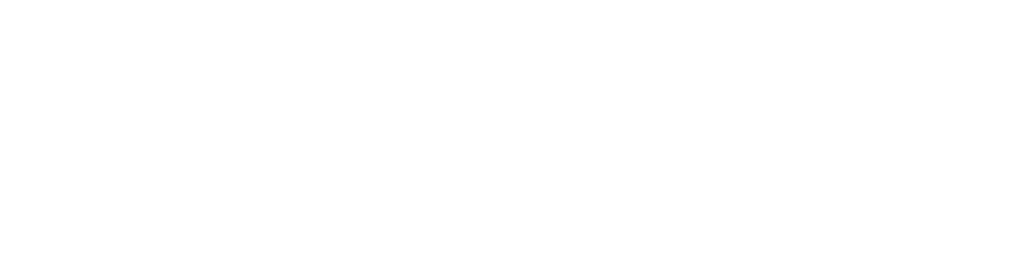 Stasht logo